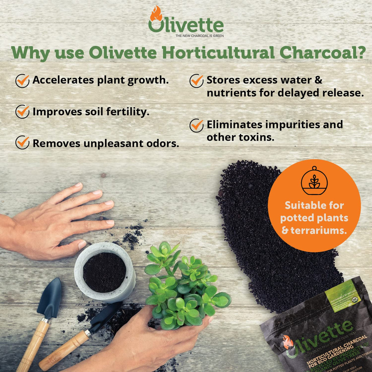 Olivette biochar prevents root rot by balancing water and nutrients in pots.