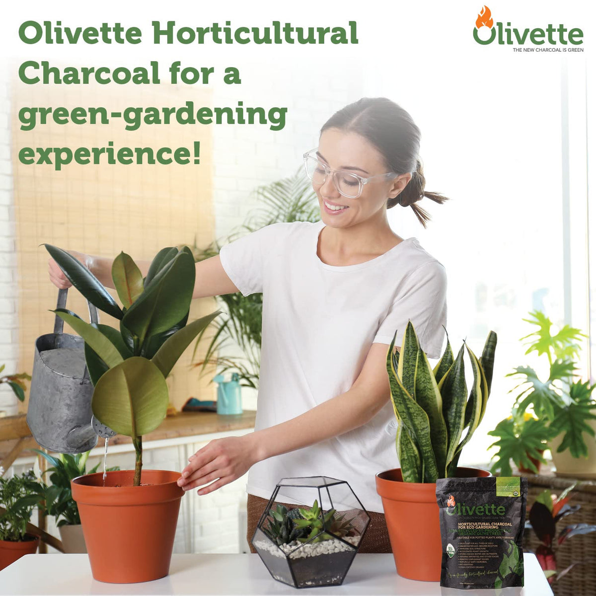 Olivette organic-certified biochar supports sustainable plant care in homes.