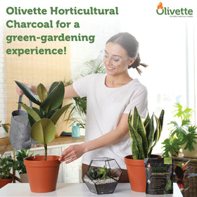 Olivette organic-certified biochar supports sustainable plant care in homes.