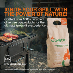 Olivette briquettes quickly light for fast preheat and simple BBQ prep