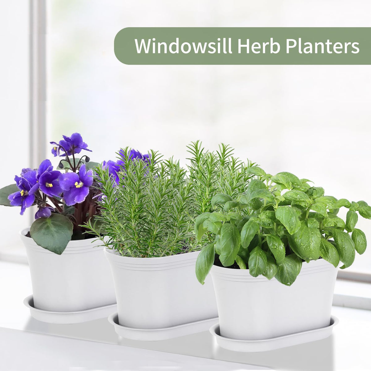 Oliz drainage holes feature ensures healthy watering and prevents soggy soil in every pot.