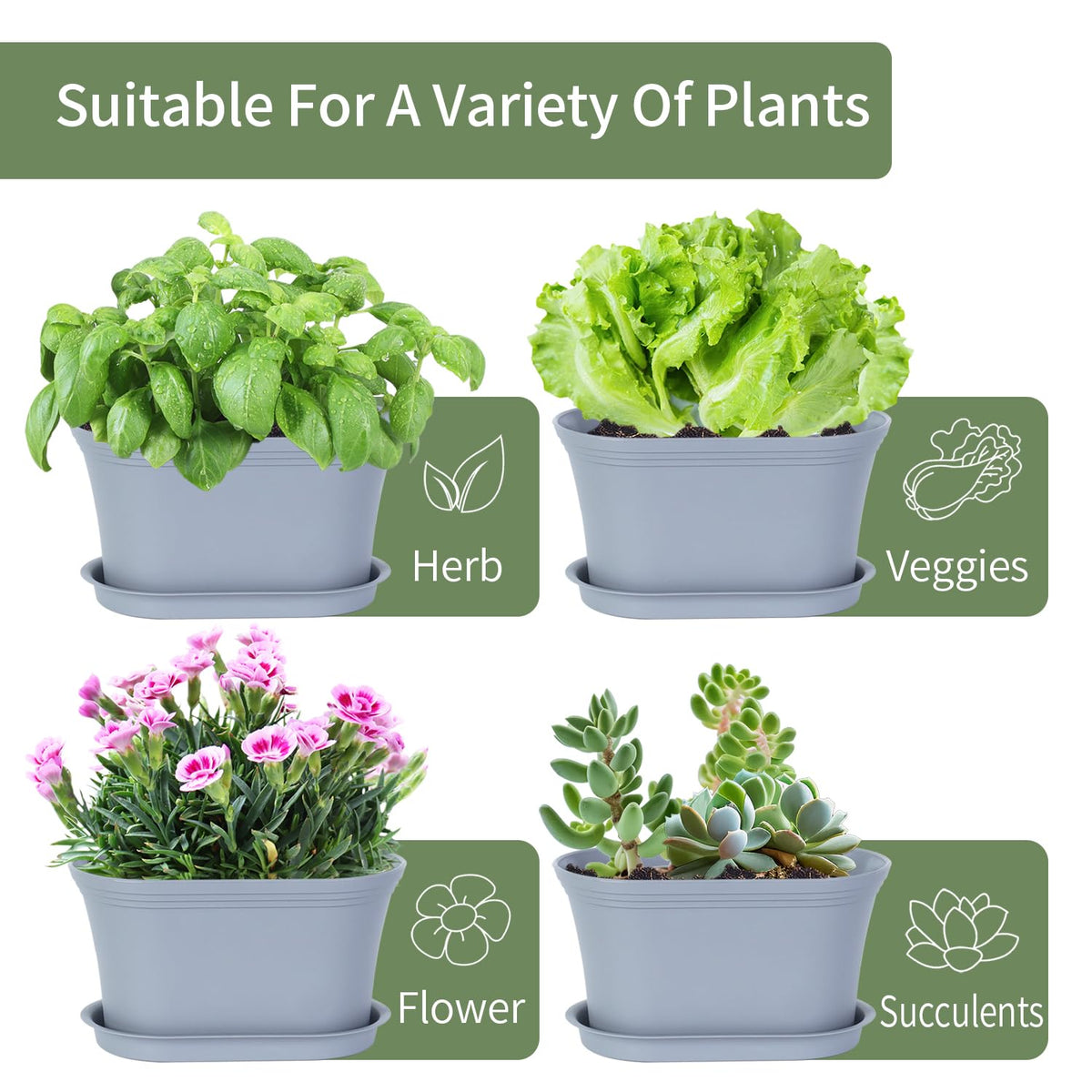 Oliz drainage holes ensure proper watering and prevent soggy roots.