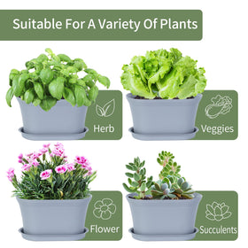 Oliz drainage holes ensure proper watering and prevent soggy roots.