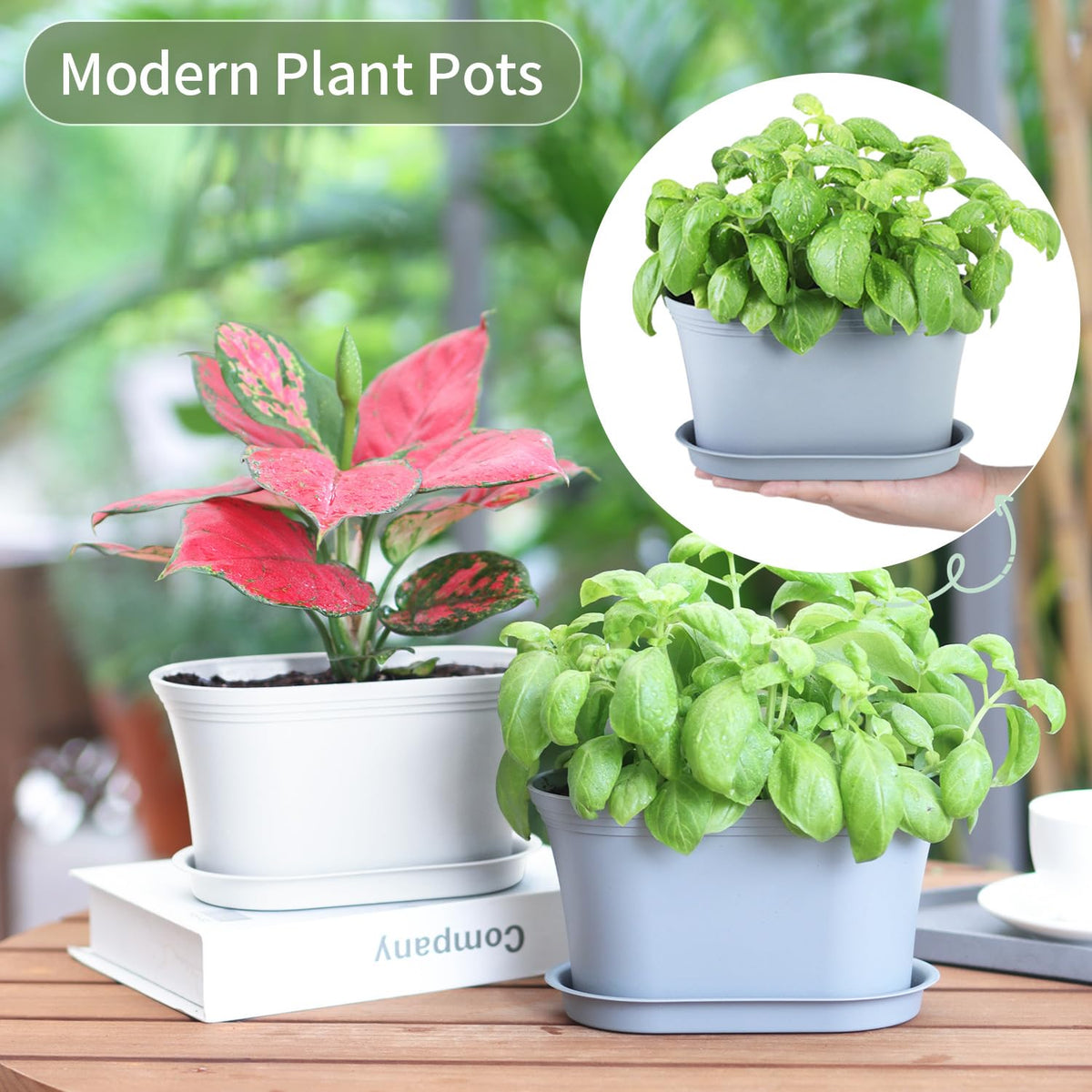 Oliz plant labels included to help identify herb varieties.