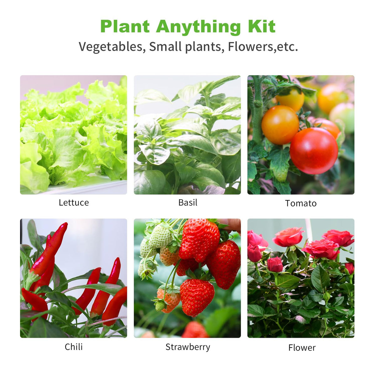 Oliz indoor smart garden setup ready for versatile hydroponic configurations.