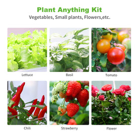 Oliz indoor smart garden setup ready for versatile hydroponic configurations.
