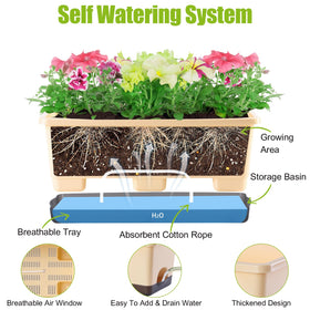 Oliz planting setup for herbs and flowers on a sunny windowsill.