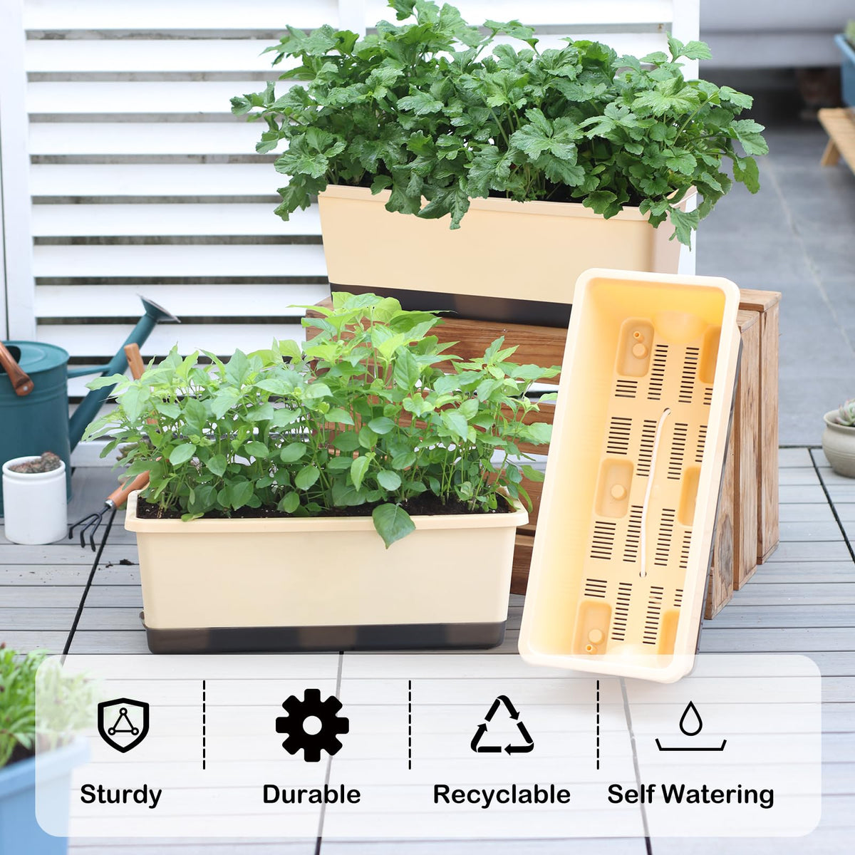 Oliz self-watering system with reservoir and wick for easy hydration.