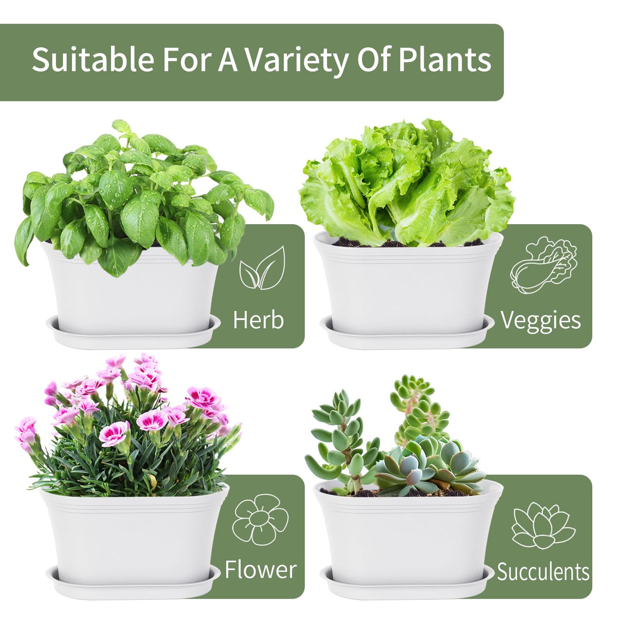 Oliz succulent pot six-pack offers compact, stylish containers for small indoor greenery.