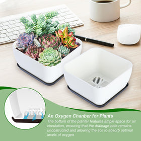 Oliz succulent pots feature an oxygen chamber design promoting soil aeration.