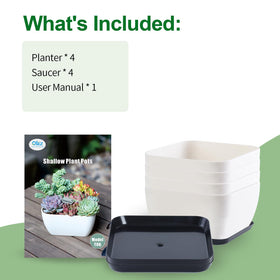 Oliz succulent pots set arrives with manual and packaging ready.