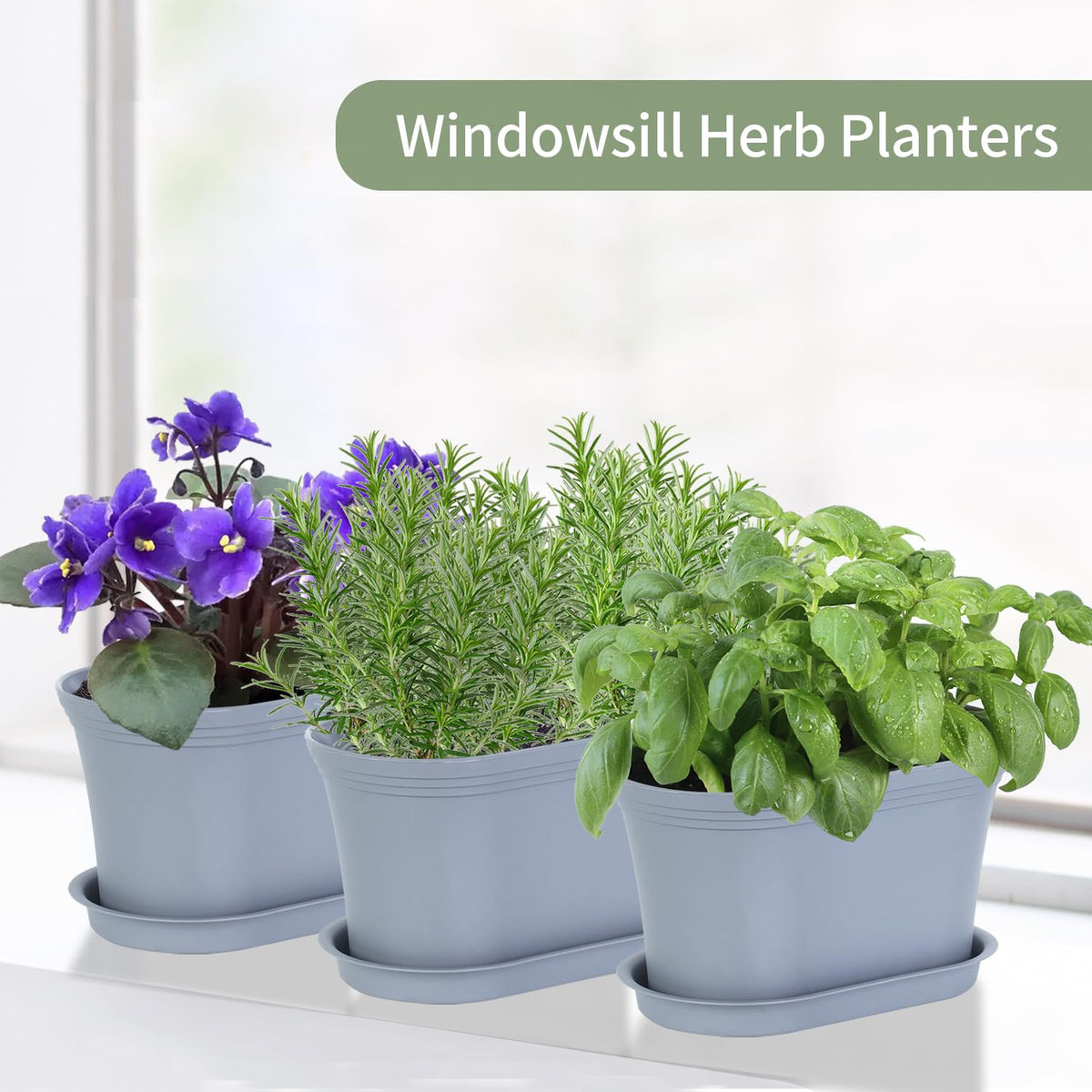 Oliz planters suitable for herbs, flowers, vegetables, and succulents.