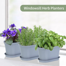 Oliz planters suitable for herbs, flowers, vegetables, and succulents.