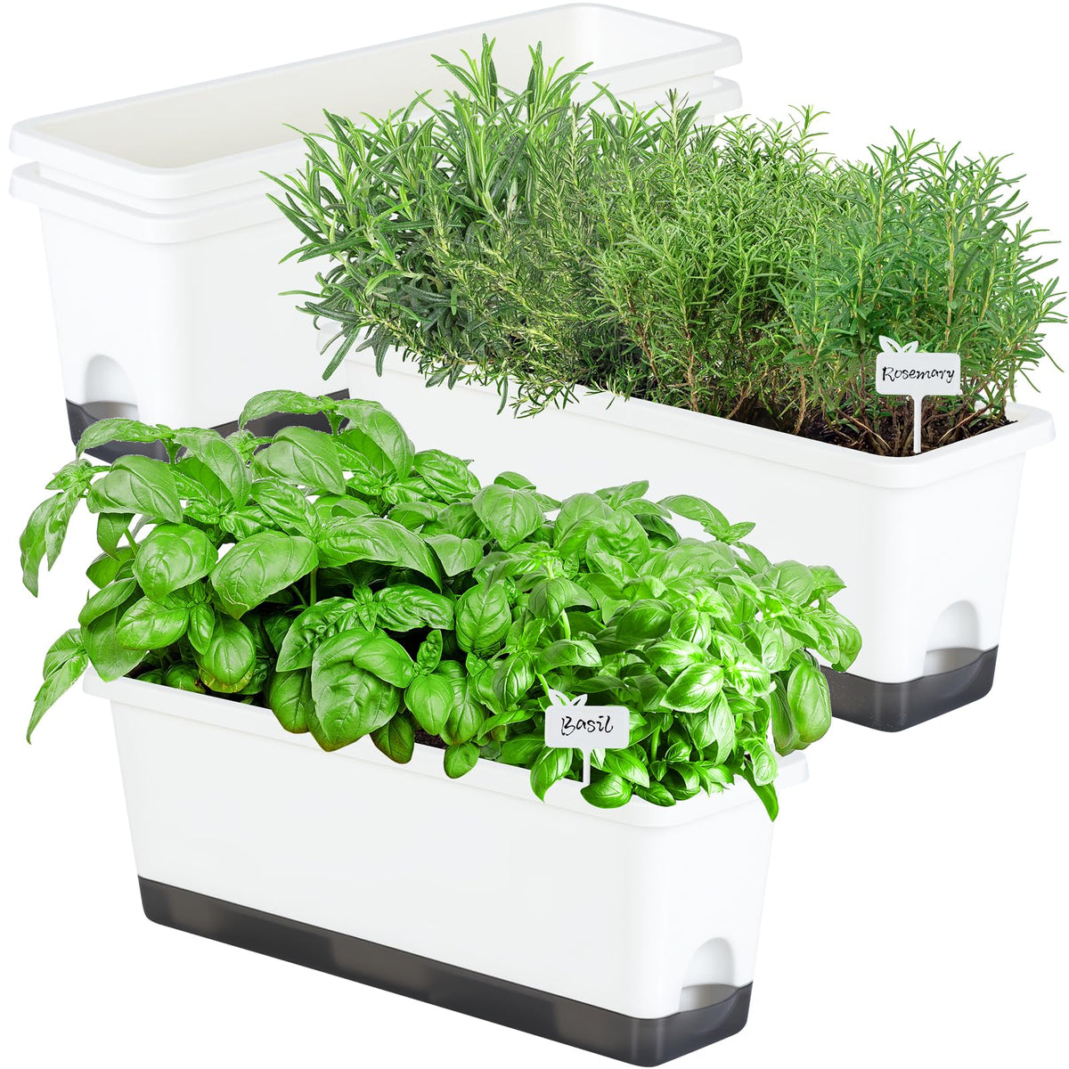 Oliz Window Box Planter 4 Pack with rectangular pots on a sunny windowsill for herbs