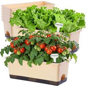 Oliz window box planter 8 pcs grey, ideal for versatile windowsill styling and compact herb gardens.