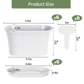 Oliz window sill garden setup demonstrates an attractive display for fresh herbs.