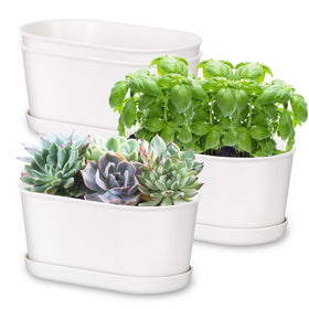 Oliz oval 7-inch window sill planter front view for compact herb displays.