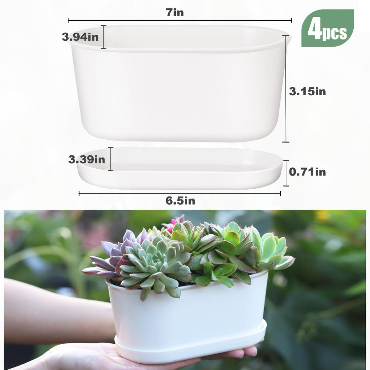 Oliz oval planter with herbs on a sunny kitchen windowsill.