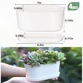 Oliz oval planter with herbs on a sunny kitchen windowsill.