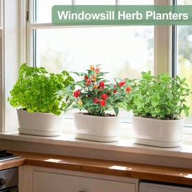 Oliz window sill planter in a modern white, indoor-outdoor space.
