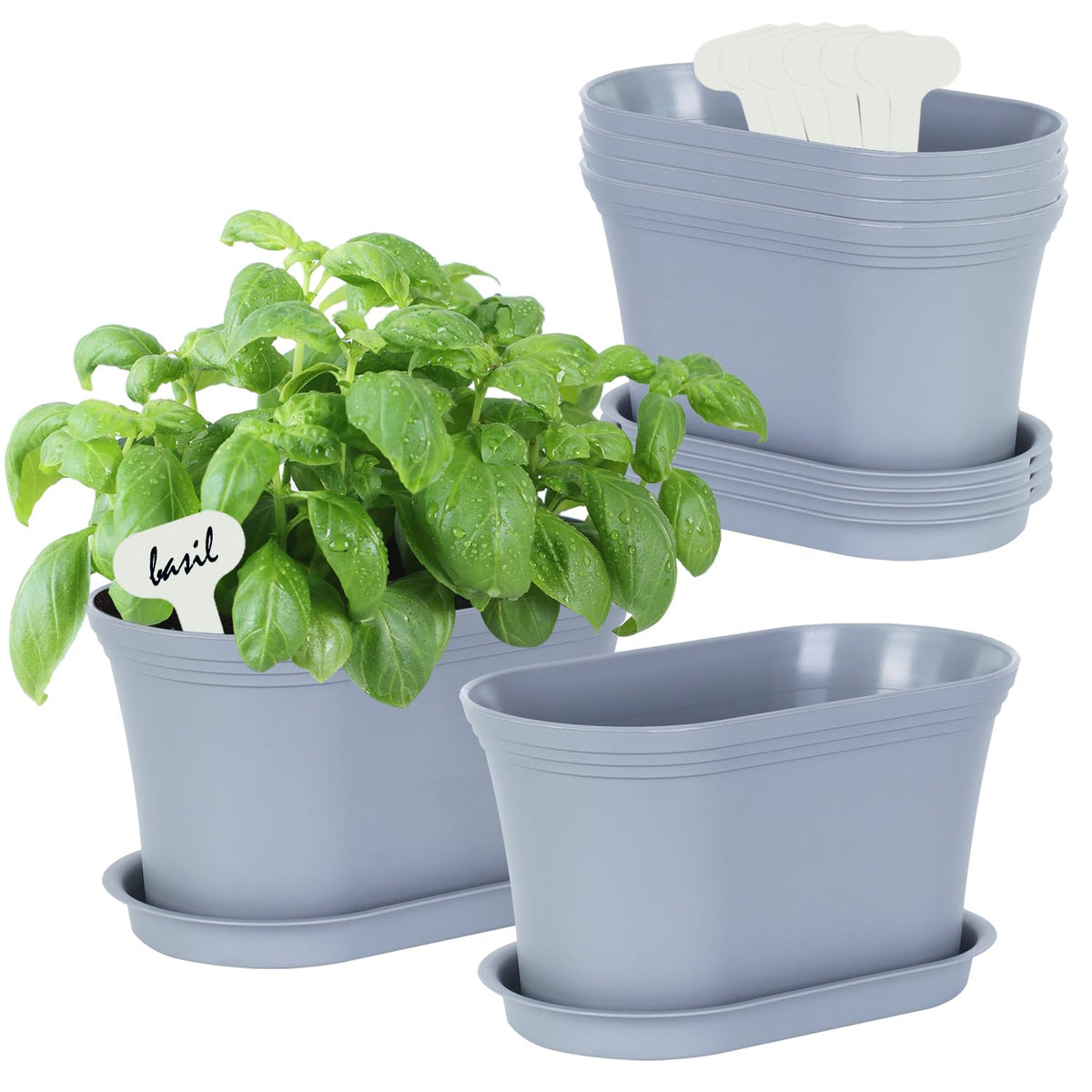 Oliz Windowsill herb planter set on a sunny window for convenient indoor herbs.