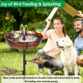 Olpchee removable bowl enables quick cleaning and water refreshment