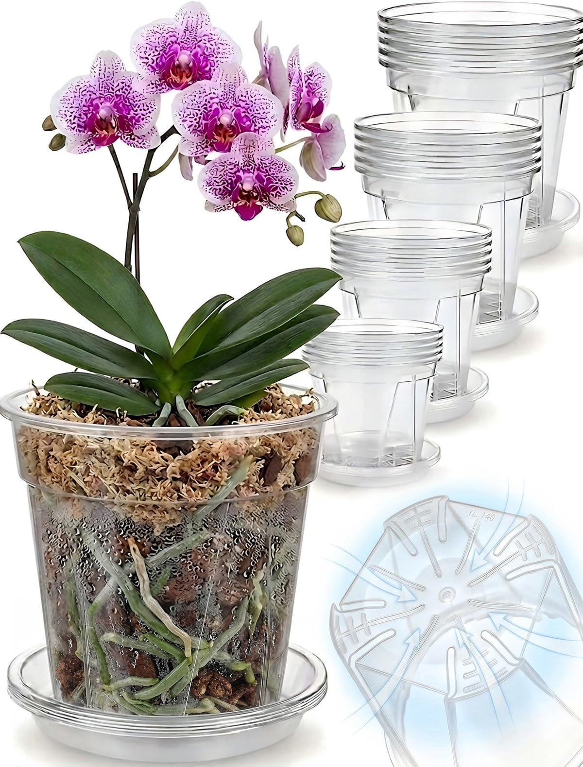 Olsury clear nursery pot with chimney aeration for orchids.