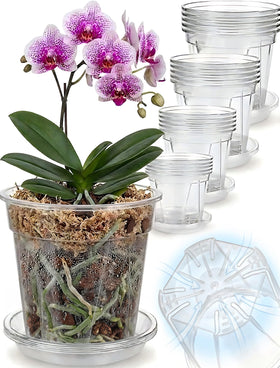 Olsury clear nursery pot with chimney aeration for orchids.