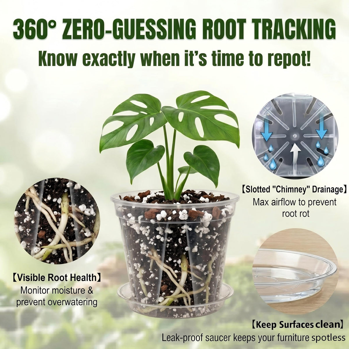 Olsury clear nursery pot shows root health through transparent walls.