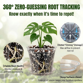 Olsury clear nursery pot shows root health through transparent walls.