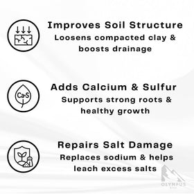Olympus Myco gypsum powder in lawn mix improves texture and reduces clumping.