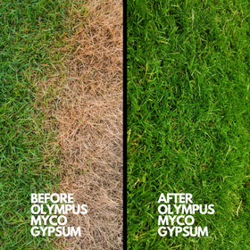 Olympus Myco gypsum powder used in mushroom substrate to promote aeration