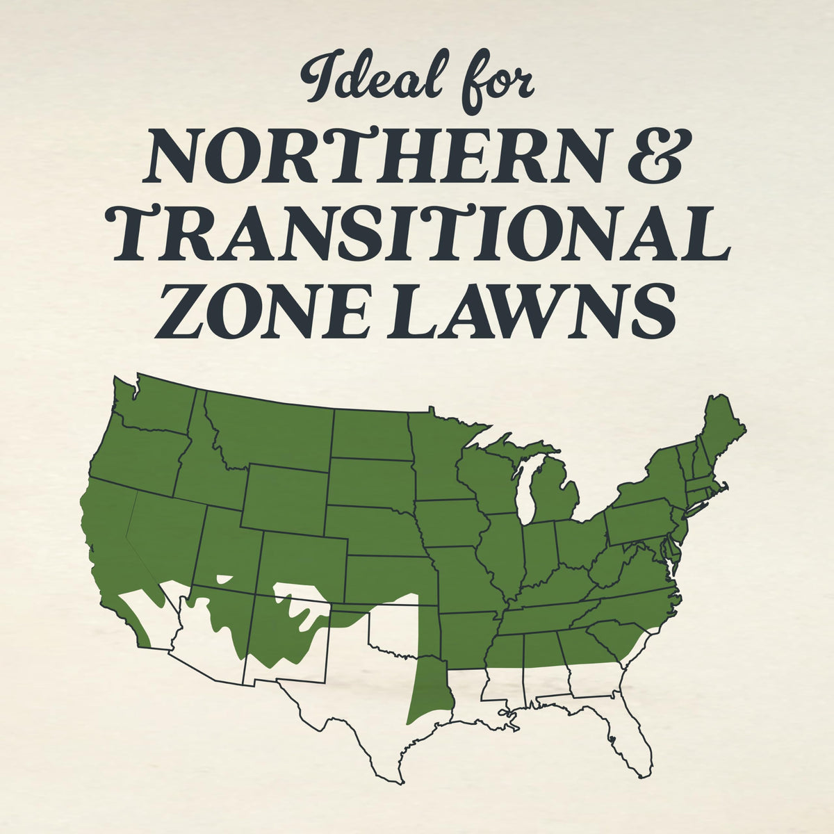 O.M. Scott Tall Fescue seed overseeding process improves existing lawn density.