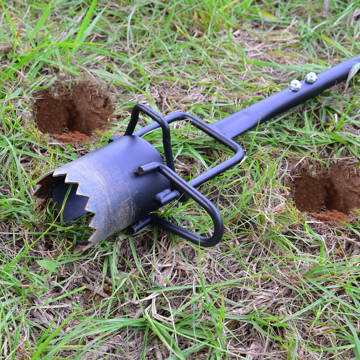 Omesata bulb transplanter ready for precise bulb placement.