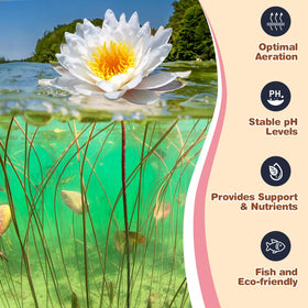 Omitgoter Aquatic Soil used as aquarium substrate for healthy plants