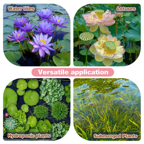 Omitgoter Aquatic Soil clay base provides long-term nutrient support