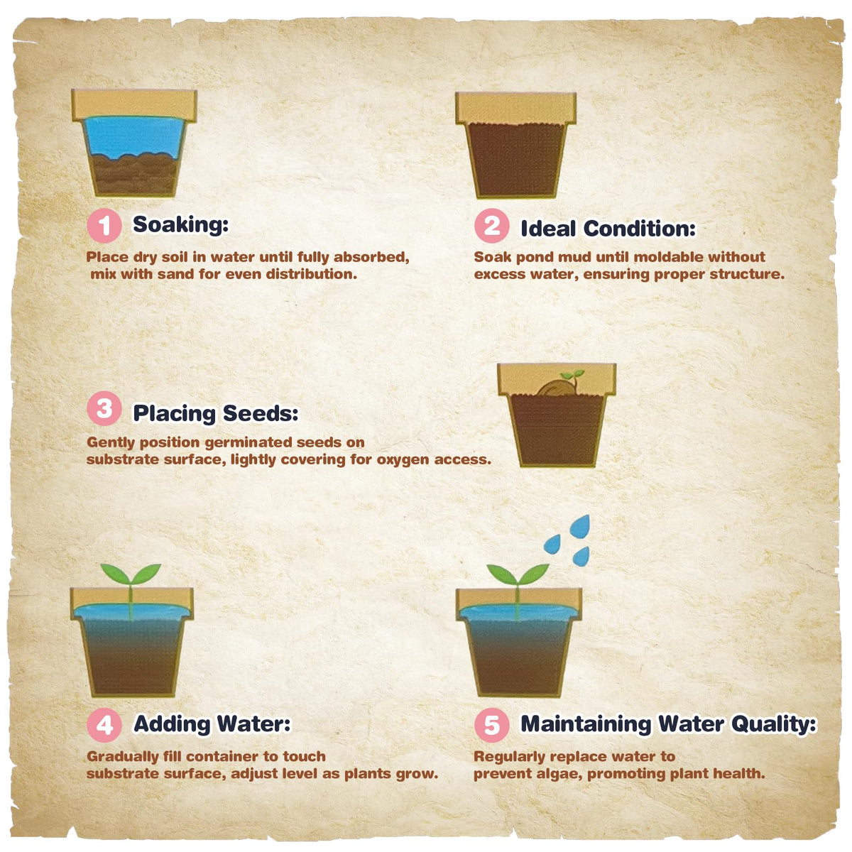 Omitgoter Aquatic Soil creates a balanced aquatic ecosystem