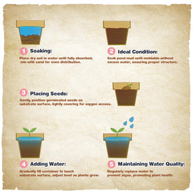 Omitgoter Aquatic Soil creates a balanced aquatic ecosystem