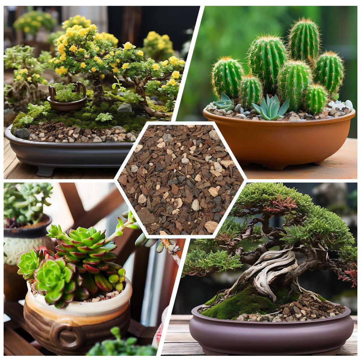 Omitgoter Bonsai Soil Mix in pot demonstrating indoor compatibility