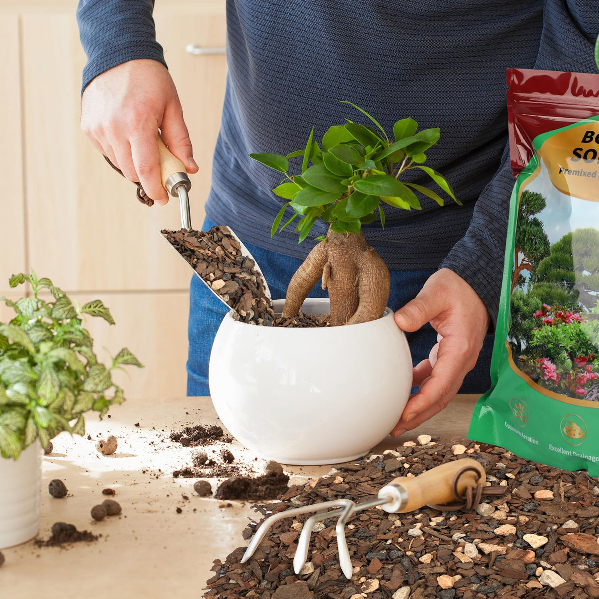 Loose texture of Omitgoter Bonsai Soil Mix indicates drainage efficiency