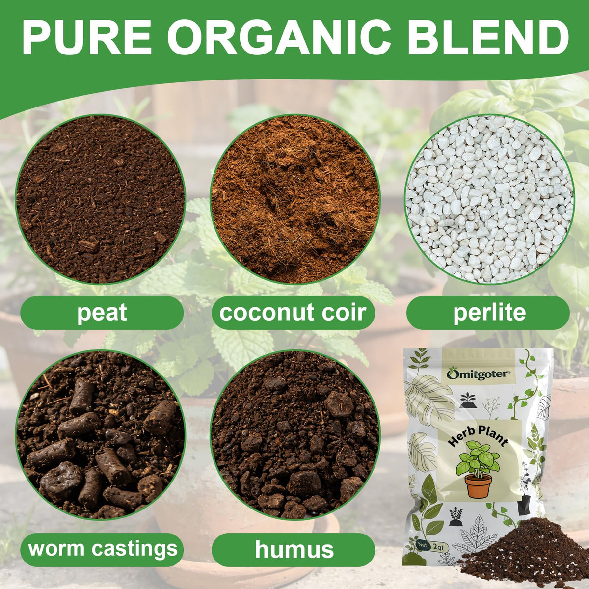 Omitgoter herbs basil growth potting soil supports robust herb pots