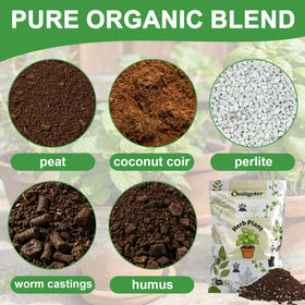 Omitgoter herbs basil growth potting soil supports robust herb pots