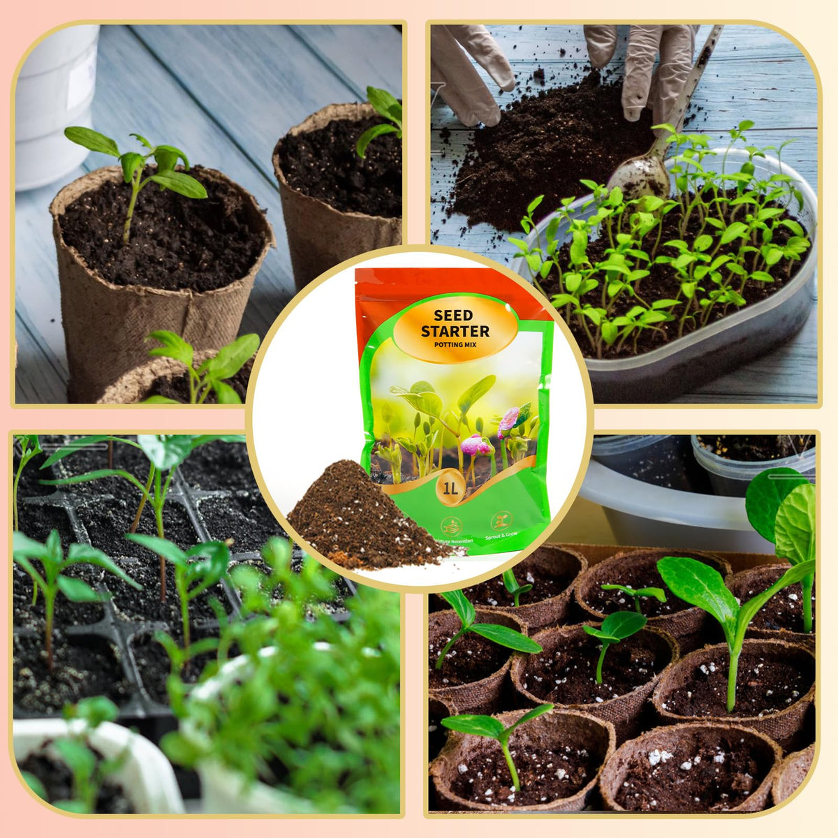 Omitgoter pH-balanced focus showcases properly balanced seedling soil benefits.