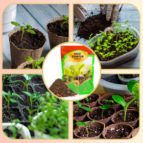 Omitgoter pH-balanced focus showcases properly balanced seedling soil benefits.
