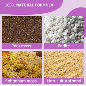 Omitgoter Premium Carnivorous Soil texture detail for root health and drainage