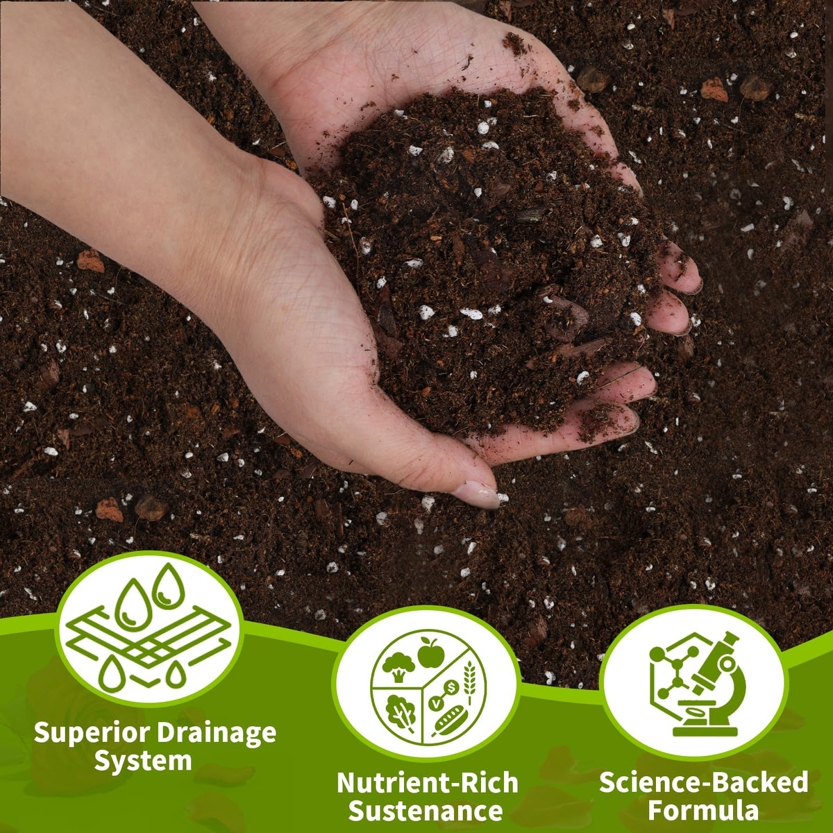 Omitgoter Rose Soil nutrients continuously nourish roots for long-lasting flower production.