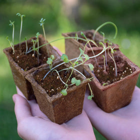 Omitgoter vegetable-flower-seedling-use shows versatile start for diverse plants.