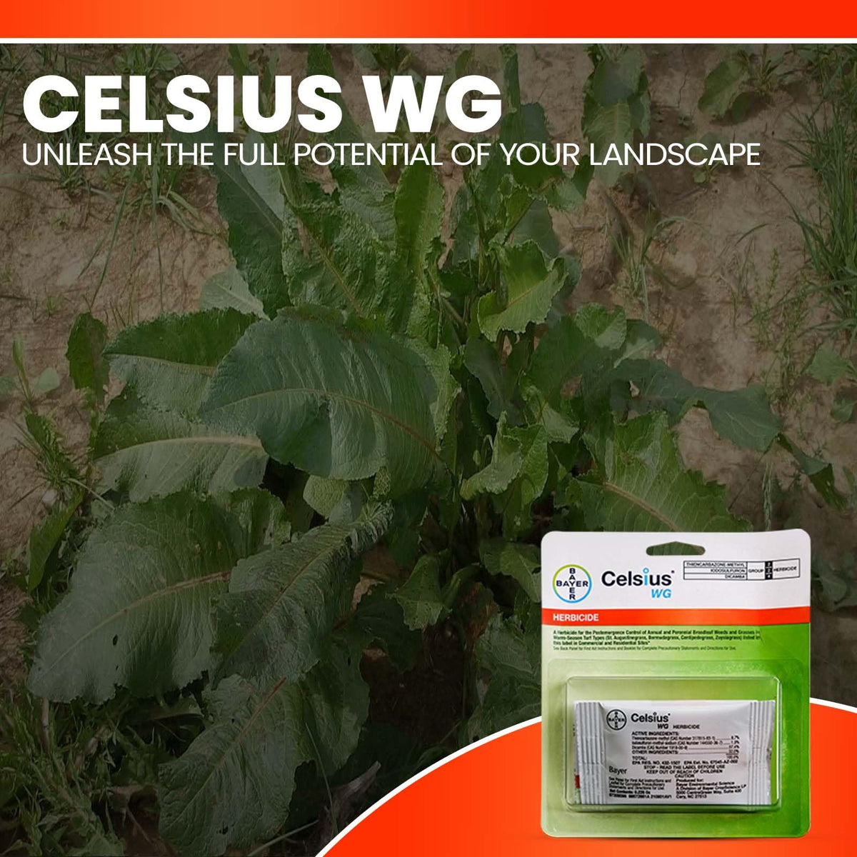 OMNI DEPOT gloves and Celsius WG bundle for safe application