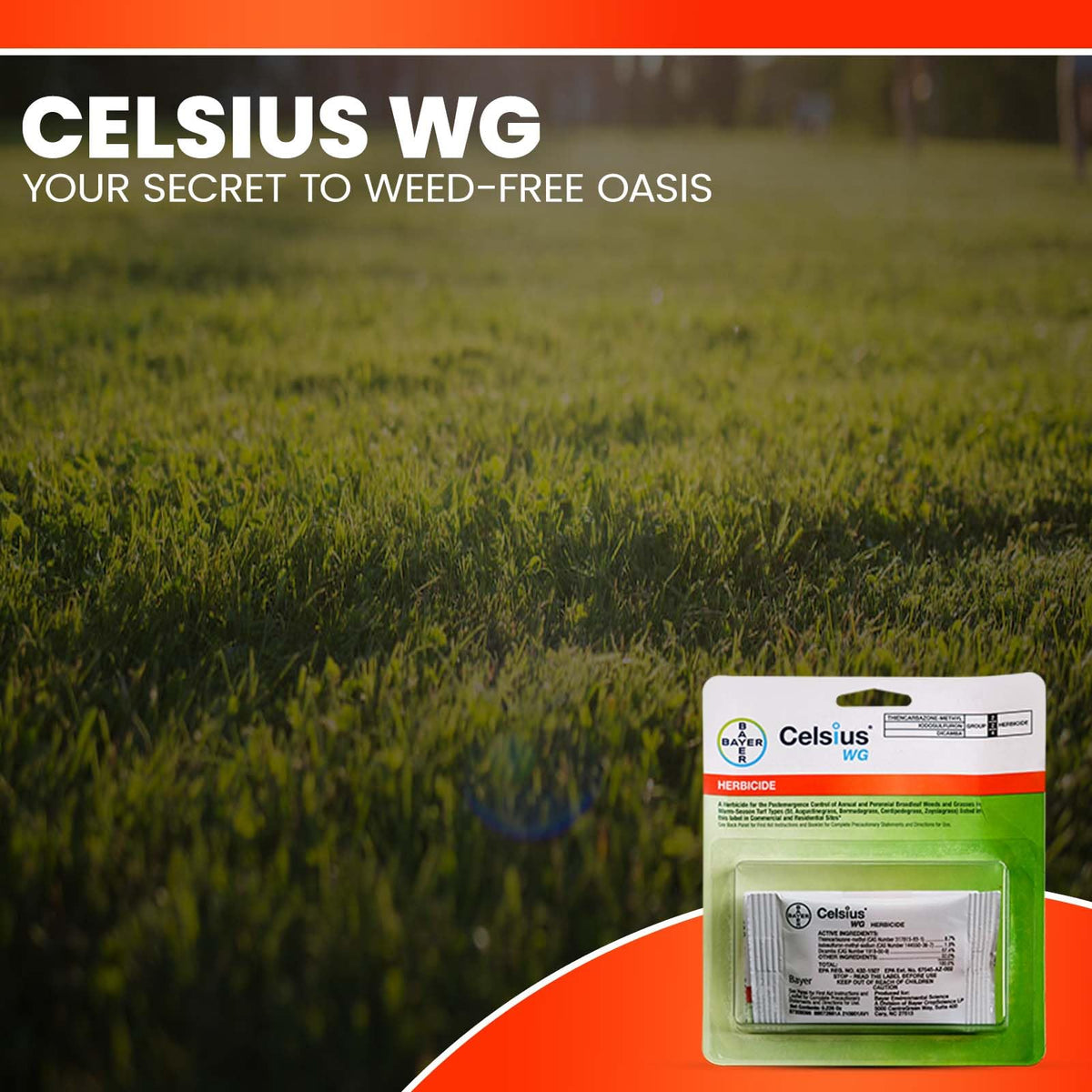 OMNI DEPOT Celsius WG lawn weed spot-treatment showing targeted control