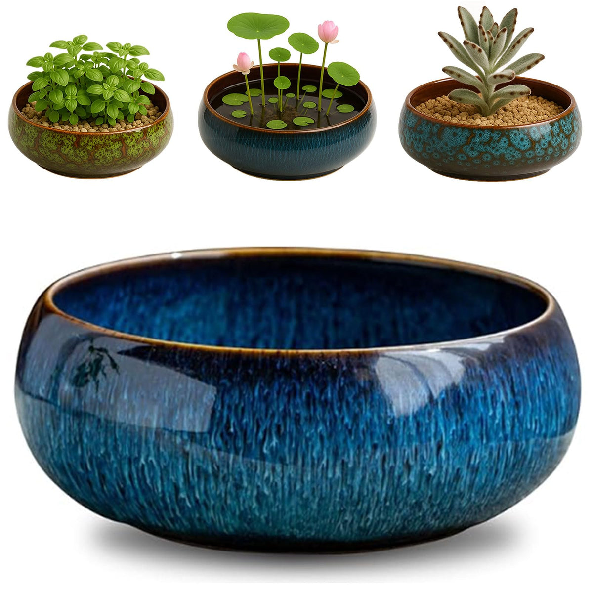 Oncpcare Lotus Bowl Planter ceramic water plant ideal for indoor aquatic displays